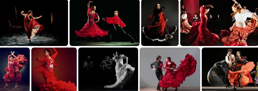 dans gösterisi organizasyonu dans gösterisi kiralama şirketi